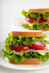 Natural sandwich. Sandwich with cheese, ham, lettuce, tomato and red onion.
