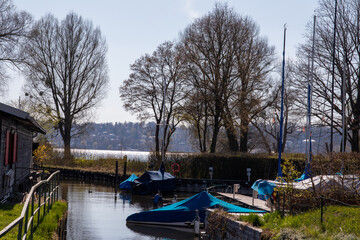 Obraz premium watching the peaceful sails and birds on the lake