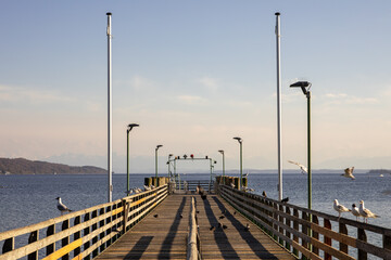Obraz premium watching the peaceful sails and birds on the lake