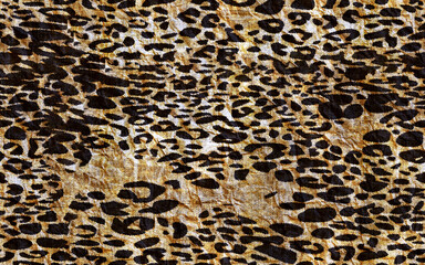 unique animal skin pattern	