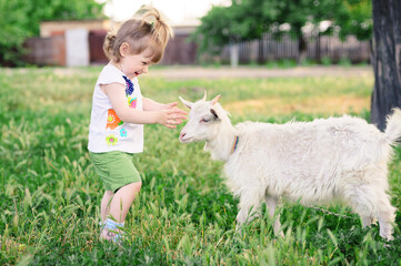A little pretty blond girl holding a milk-can and playing with her pet goat in the field in a sunny summer day. Kids as helpers in the country. portrait of a beautiful little girl in summer