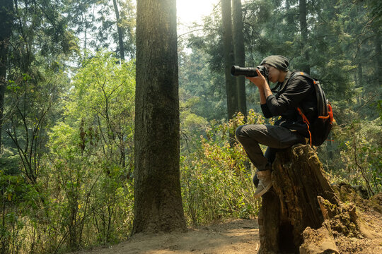 Person taking pictures in the forest