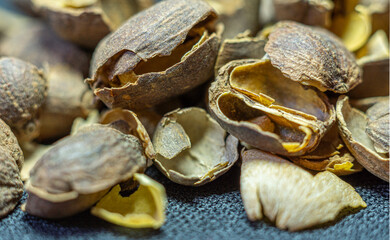 Macro photography of a coffee peel