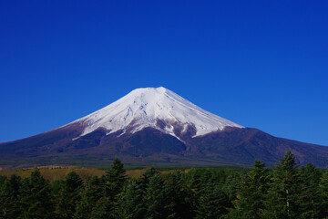 Fototapeta premium 20210426富士吉田からの再冠雪した春の青空快晴の富士山