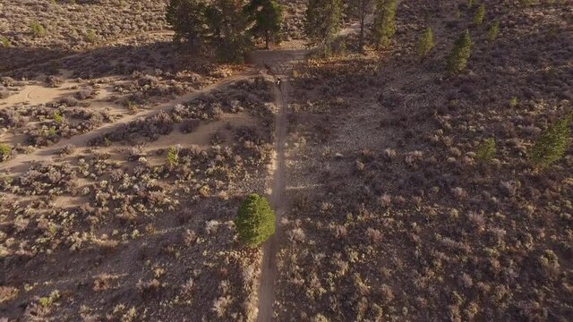Dirt bike riding on desert trail through trees and sage brush. Bend Oregon