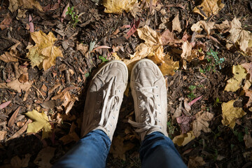Feet amongst the leaves
