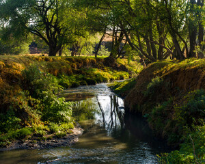 natural river rio natural
