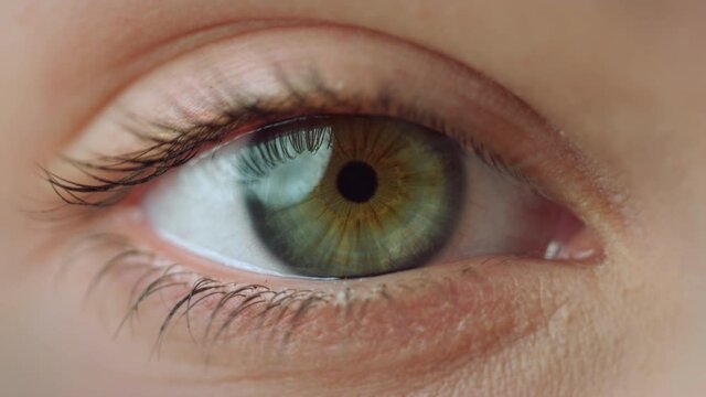 Macro video of female right eye.Extremely close up view of motion woman blue eye