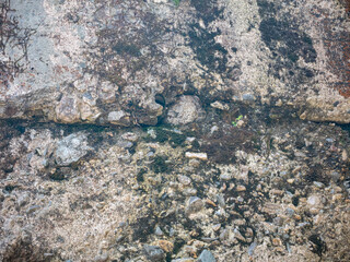 劣化したコンクリート