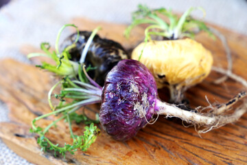 Fresh maca roots or Peruvian ginseng (lat. Lepidium meyenii) with maca products (maca powder)...