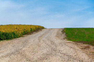 Dirt road in agricultural production area