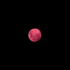 Large pink moon over Sydney Sky 27 April 2021