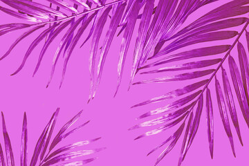 Bright Pink Fuchsia Tropical Leaf Background