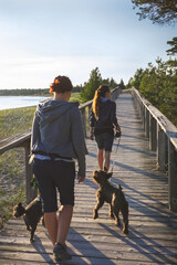 walking with the dogs on wooden boardwalk along the Huron Great Lake on Manitoulin Island, Province Bay, Canada