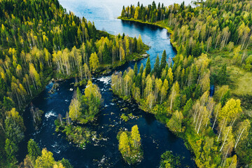 Aerial view of fast river in beautiful green spring forest in Finland. - obrazy, fototapety, plakaty