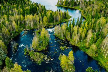 Aerial view of fast river in beautiful green spring forest in Finland.