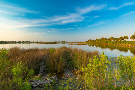 St. Marks Wildlife Refuge