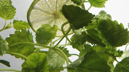 Slices of fresh lime fall down into water with floating green mint twigs on white background close bottom view slow motion