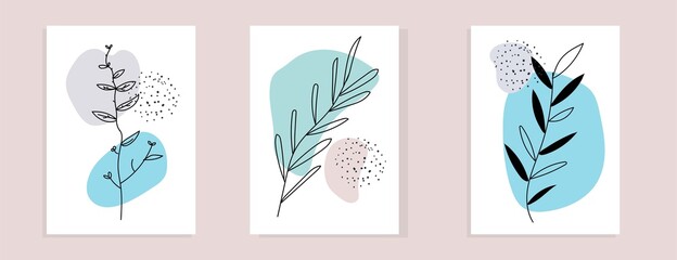 Set of Hand drawn abstract botanical. Contemporary poster set of potted flowers boho style. vector illustration