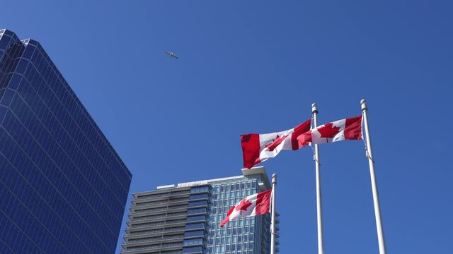 National Flags Of Canada And Vancouver City Skyscrapers Skyline In The Background. Concept Of Canadian Urban City Life.