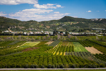 Fototapeta na wymiar Top view of orchards with apple trees, oranges, tangerines and abrokos, bananas against the backdrop of mountains in a warm hot country
