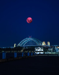 Obraz premium Large pink moon over the Sydney skies NSW Australia