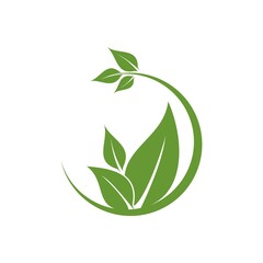 Leaf Logo Design Vector Template
