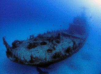 Scuba Diving Malta Gozo Comino