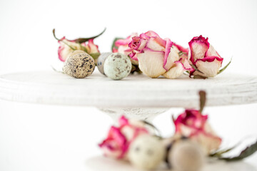 Still life with roses. Quail eggs on a wooden stand. Rustic. Easter celebration concept.