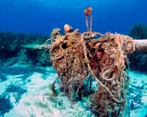 Scuba Diving Malta Gozo Comino