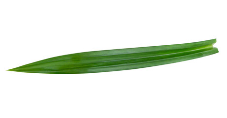 Obraz premium Fresh green pandan leaves isolated on white background