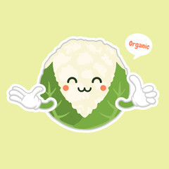 cute and kawaii cauliflower. Funny and healthy food. Vitamins contained in cauliflower. Food with cute face. Vector cartoon. healthy food, vegetables vector icon , vegetarian vegan concept