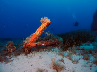 Scuba Diving Malta Gozo Comino