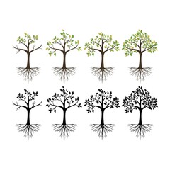 Tree logo vector

