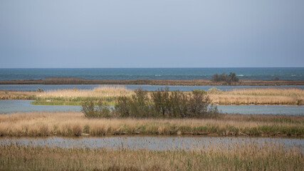 Plain coastal landscape with sea water and lakes and lagoons in Delta de l'Ebre, Catalonia