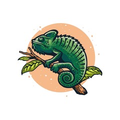 illustration chameleon 