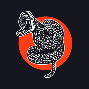 illustration snake venomous