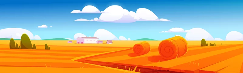 Muurstickers Rural landscape with hay bales on agriculture field and farm buildings. Vector cartoon illustration of countryside, farmland with round wheat straw rolls, yellow haystacks and barns © klyaksun