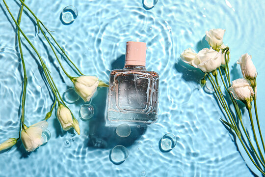 Bottle of perfume and flowers in water on color background foto de Stock |  Adobe Stock