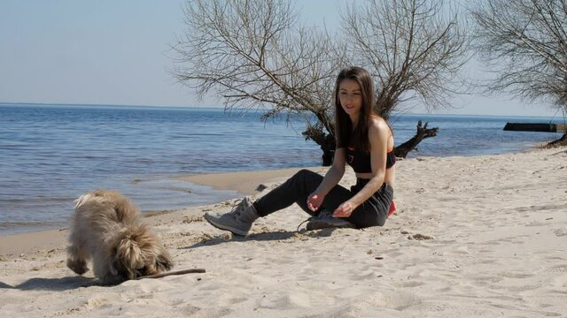 Young woman in sportive top and jeans sits on sandy beach and throws stick to Shih tzu and dog brings a stick. Concept care dog companion
