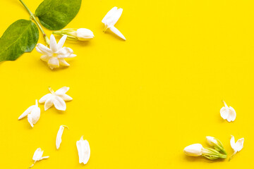 jasmine white flowers arrangement flat lay postcard style on background yellow