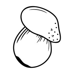 Hand drawn mushroom isolated on a white background. Doodle, simple outline illustration. It can be used for decoration of textile, paper.