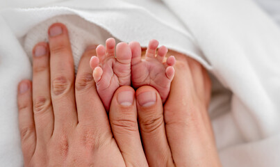 Obraz na płótnie Canvas Newborn feet in mother hands