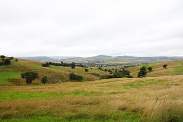Fototapeta premium Views of the country town of Killarney in Queensland Australia. With rolling hills and green paddocks