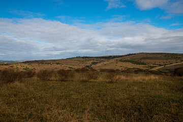 Dry Winter Rurual Landscape with Cold Cloudy Sky