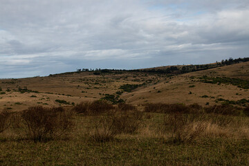 Dry Winter Rurual Landscape with Cold Cloudy Sky