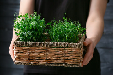 Woman with fresh micro green in box on dark background