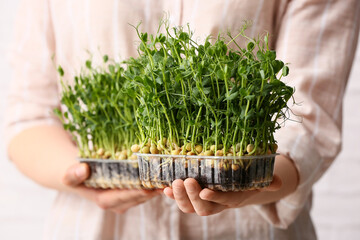 Woman with fresh micro green, closeup