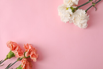 Obraz na płótnie Canvas Fresh carnation flowers on color background