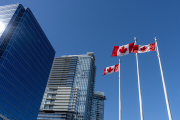 National Flags of Canada and Vancouver City skyscrapers skyline in the background. Concept of...
